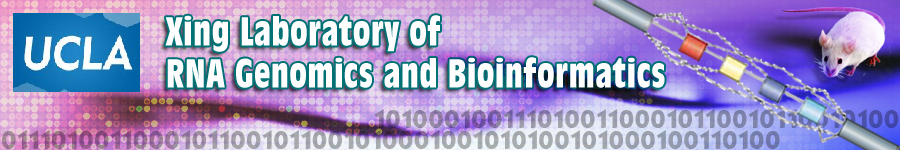 Xing Laboratory of RNA Genomics and Bioinformatics